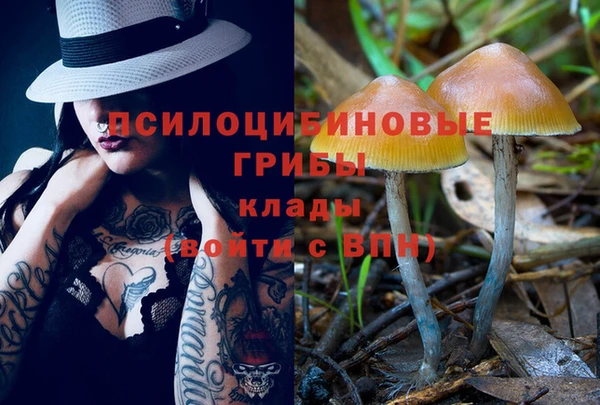 кокс Нея