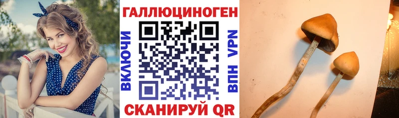 Галлюциногенные грибы Magic Shrooms  Опочка 